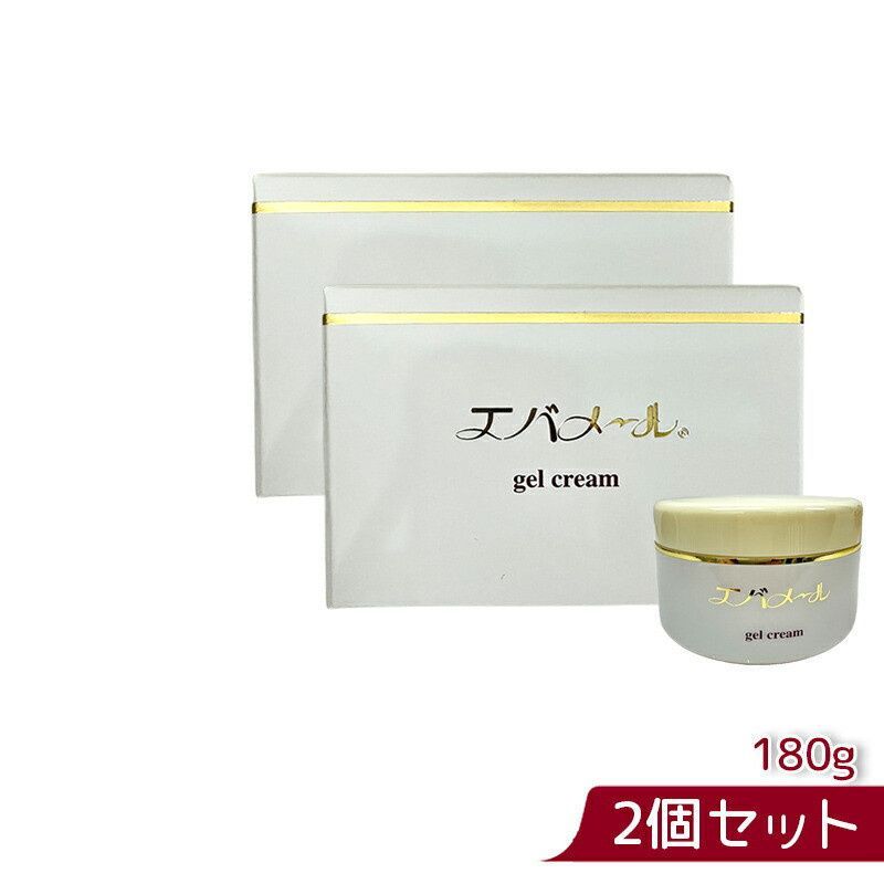 【詰替 500g ２個セット】エバメール ゲルクリーム Sタイプ エバメール 正規品 ゲルクリーム 詰替500(S) レフィル オールインワン