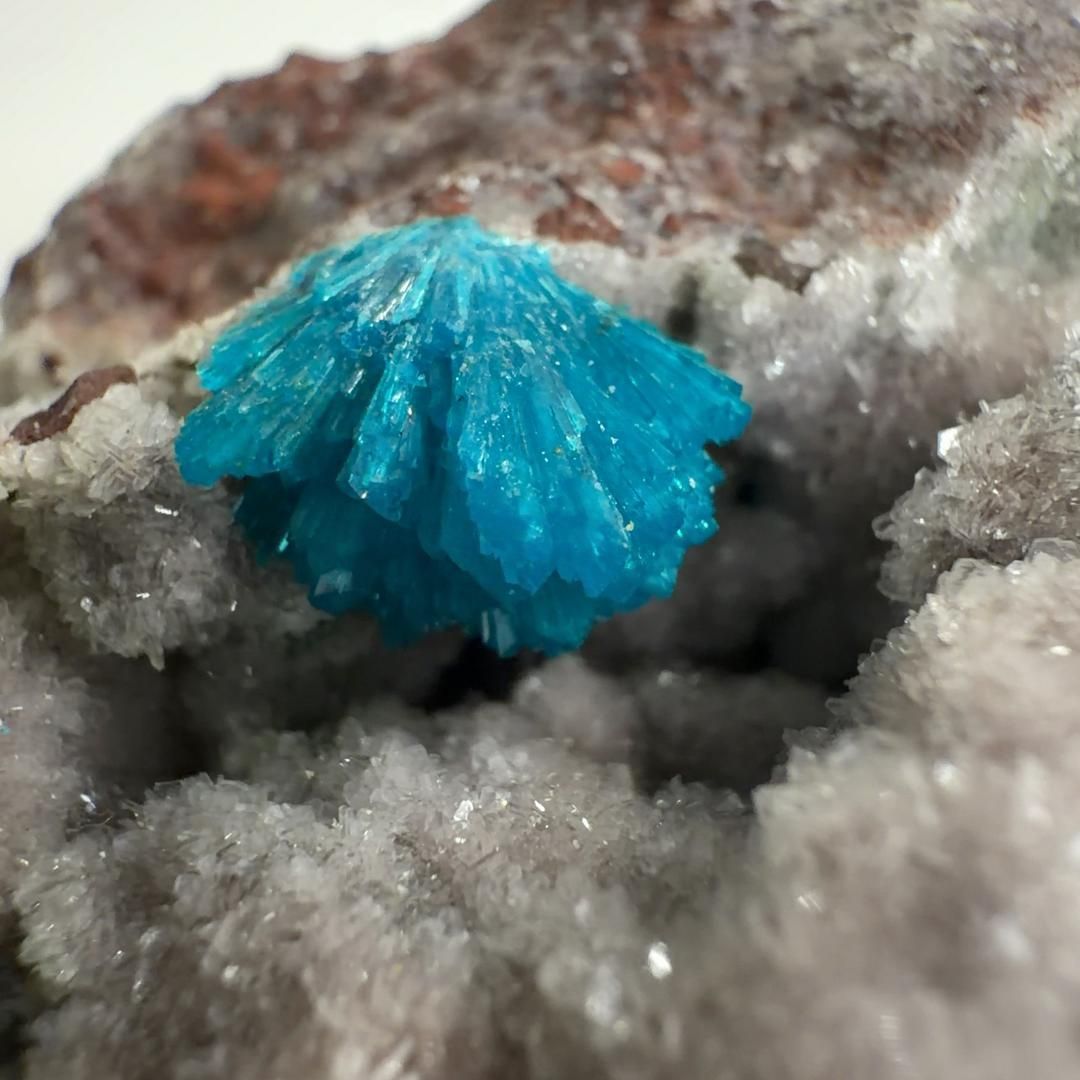 カバンシ石 カバンサイト