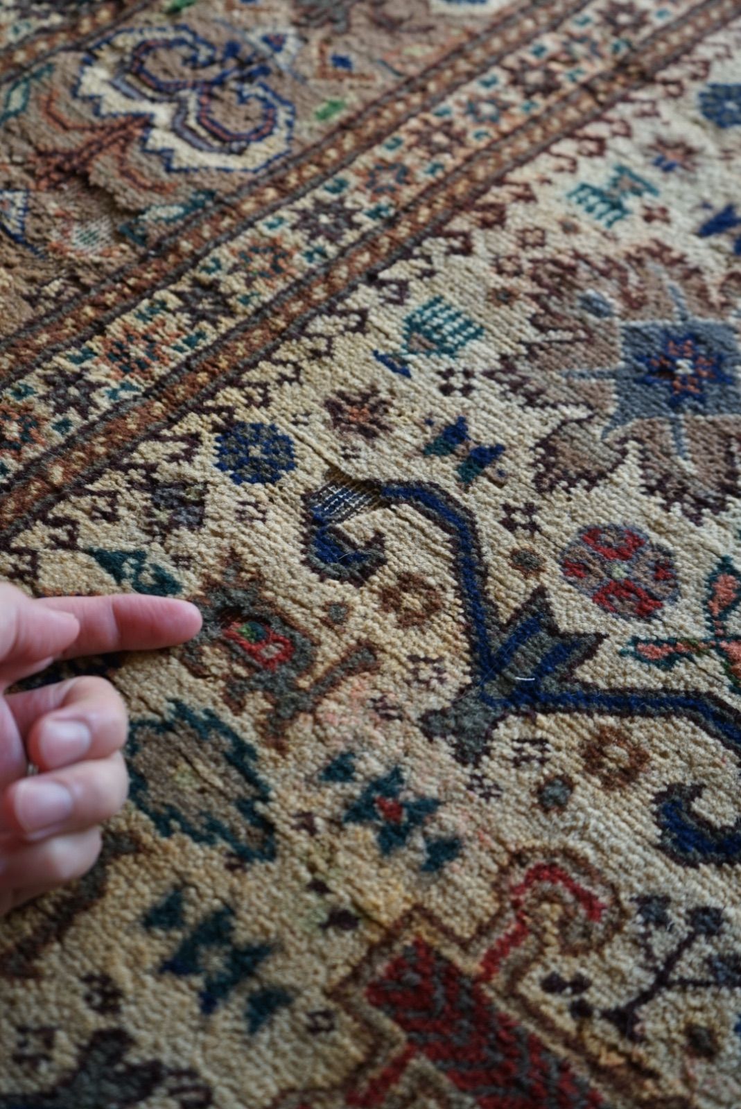 ベージュ 1950-1960年代