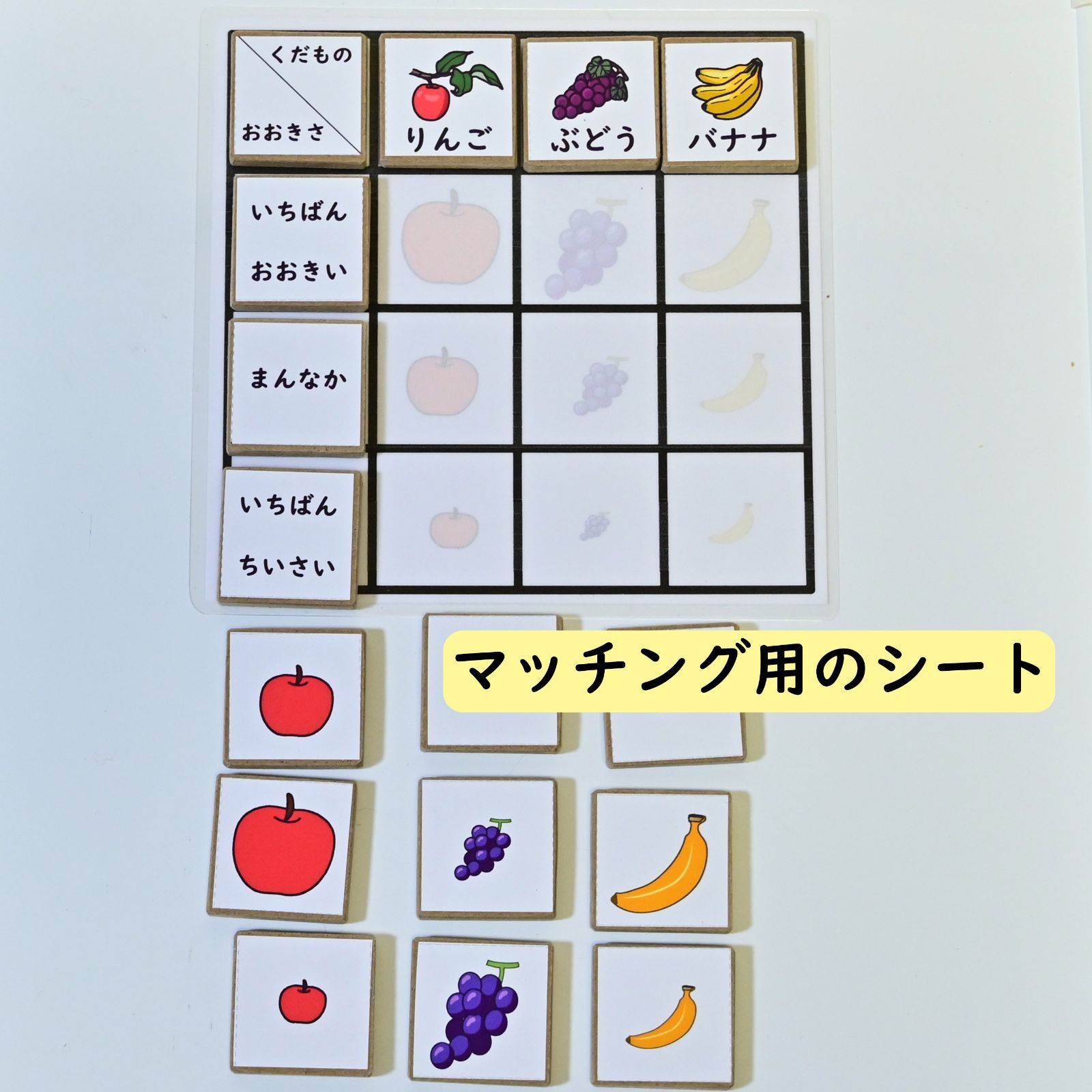 マトリックスあそびセット(大小) 大きさの学習に 順番の学習に