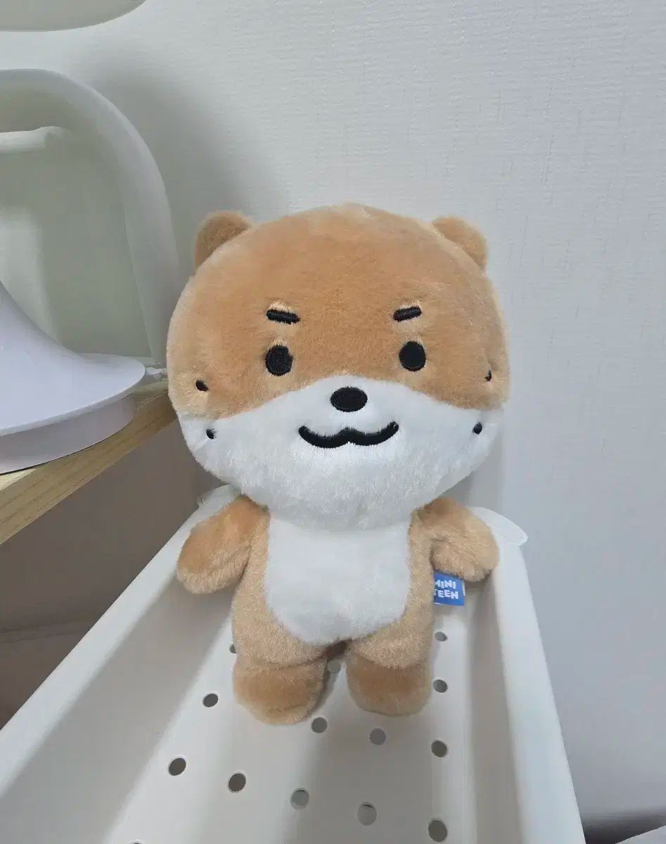 ミニティーン チャンダル 人形 セーター Miniteen Chandalee Plush