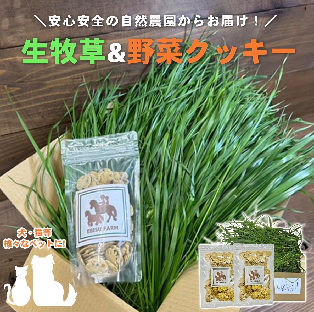 生牧草