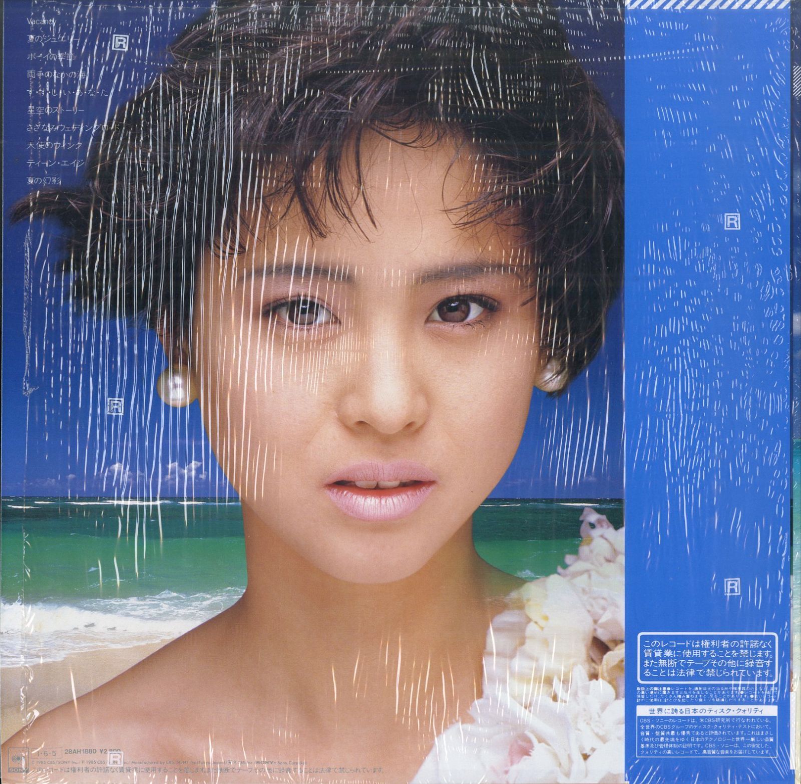 松田聖子  『The 9th Wave 』LP盤レコード 松田聖子 SEIKO MATSUDA／The 9th Wave (LP) | レコードライク