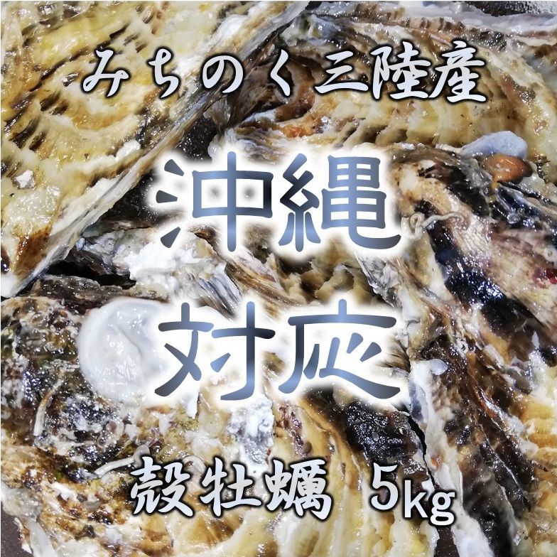 沖縄対応 生食OK 5kg 三陸産 殻付き生牡蠣 亜鉛 鉄分 ミネラル豊富-0
