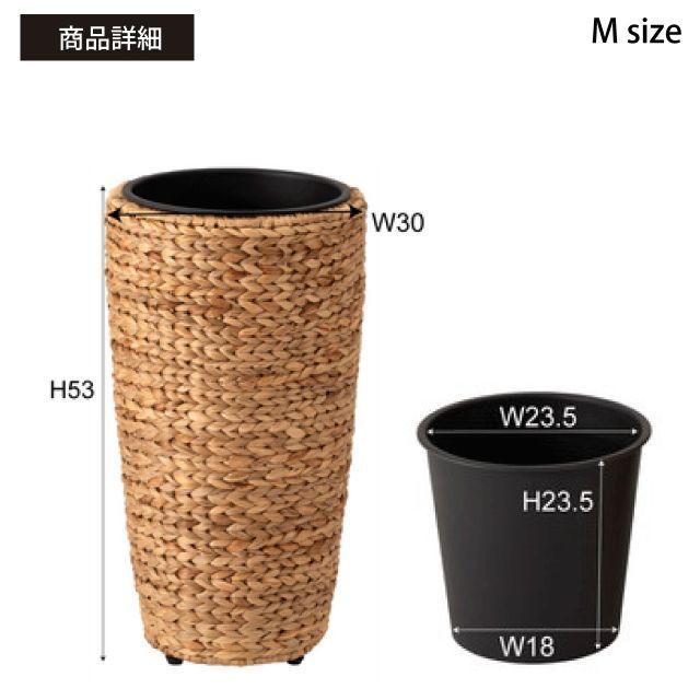 観葉植物