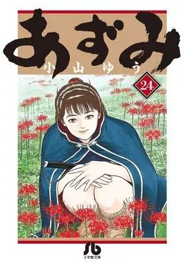 文庫コミック あずみ 文庫版 全24巻セット