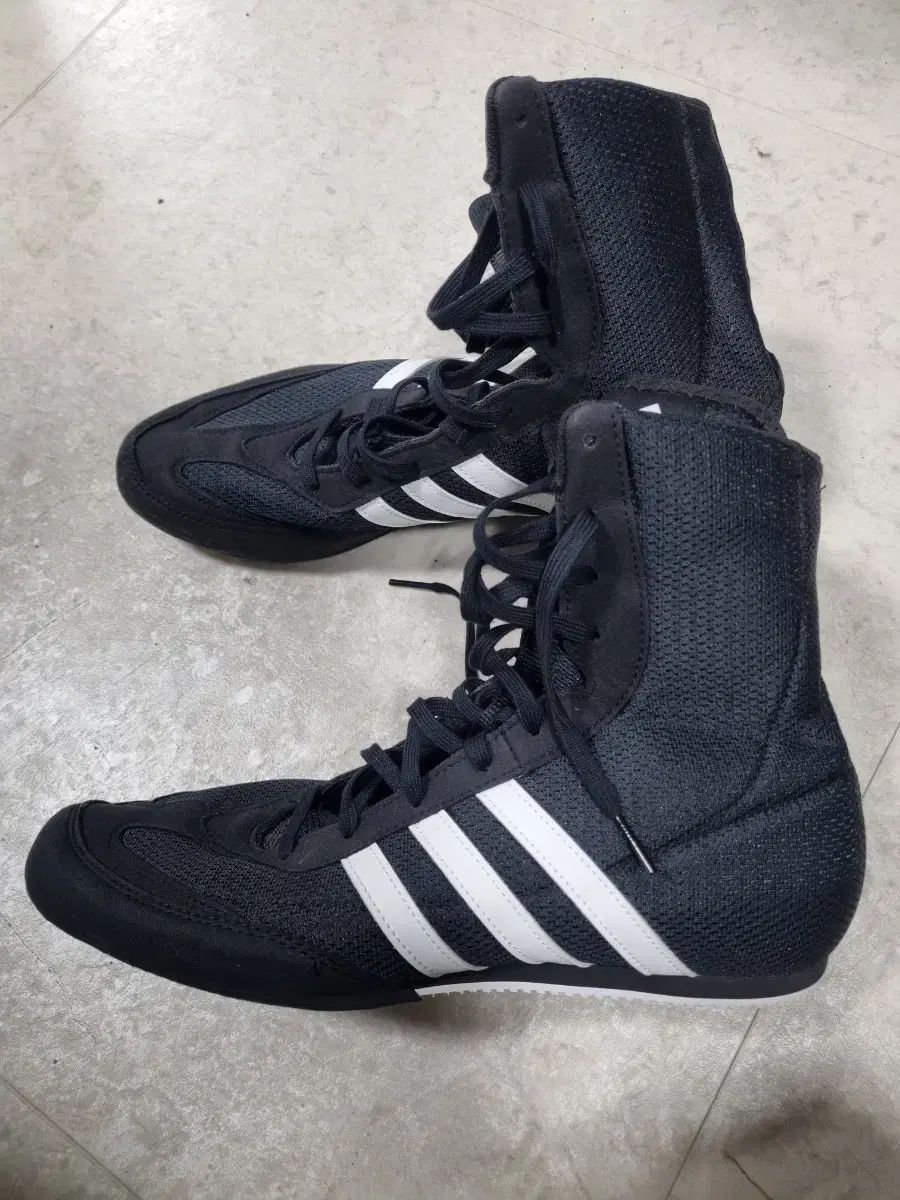 ボクシング ポスター 粟生隆寛vsガマリエル・ディアス 岩佐亮佑 三浦