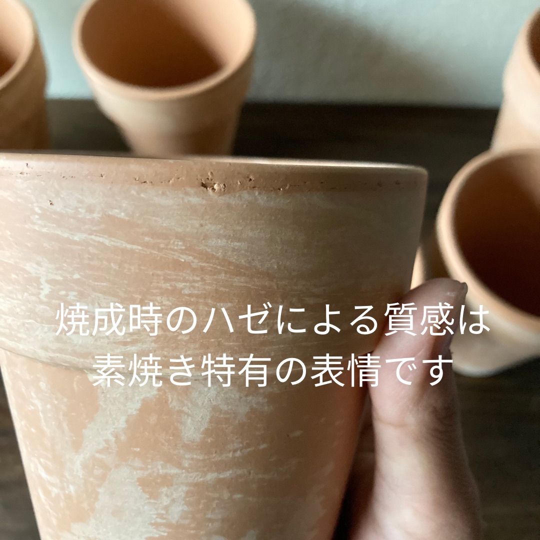 ドイツ製テラコッタ 鉢 多肉植物 植木鉢 プランター 素焼鉢