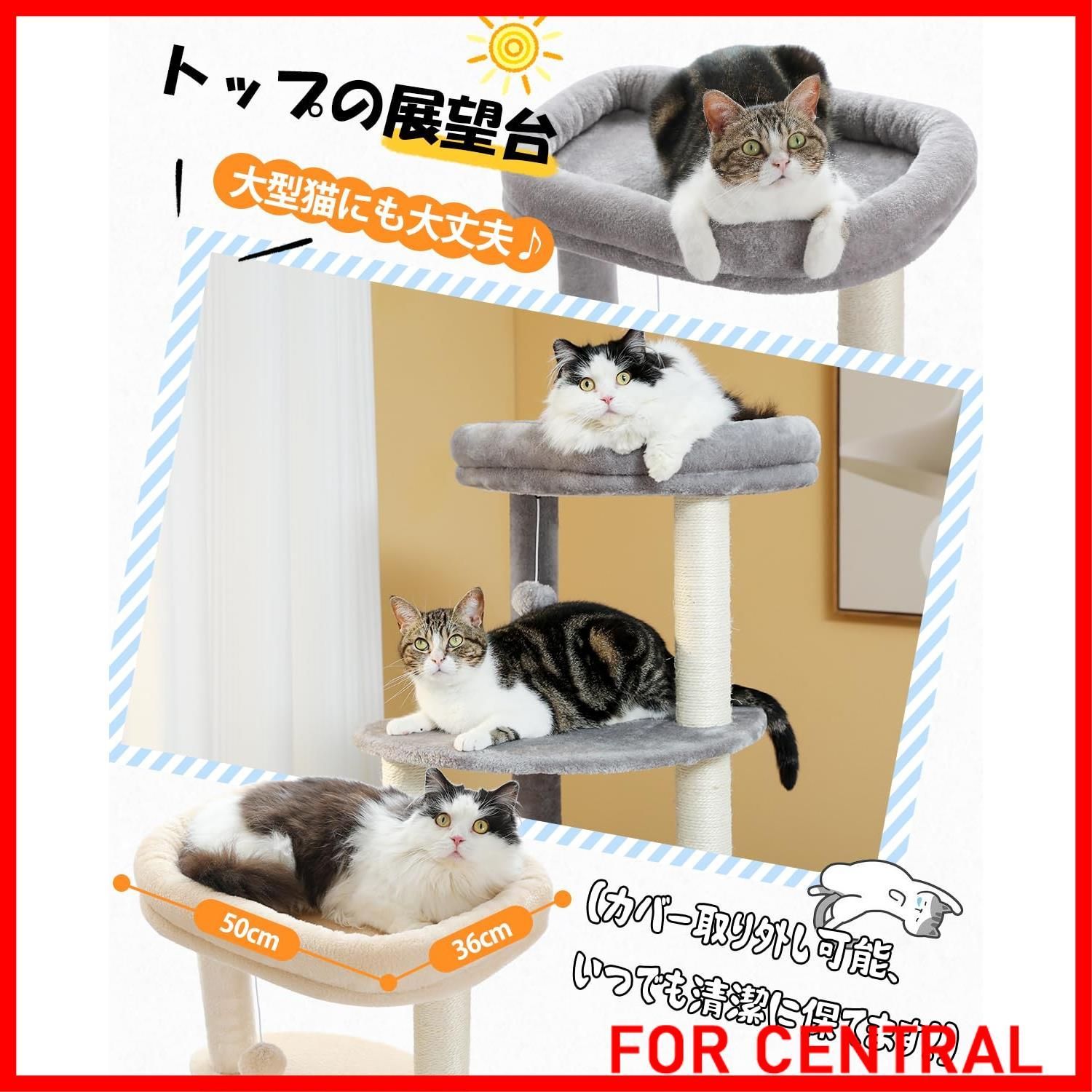 ぺテぺラ