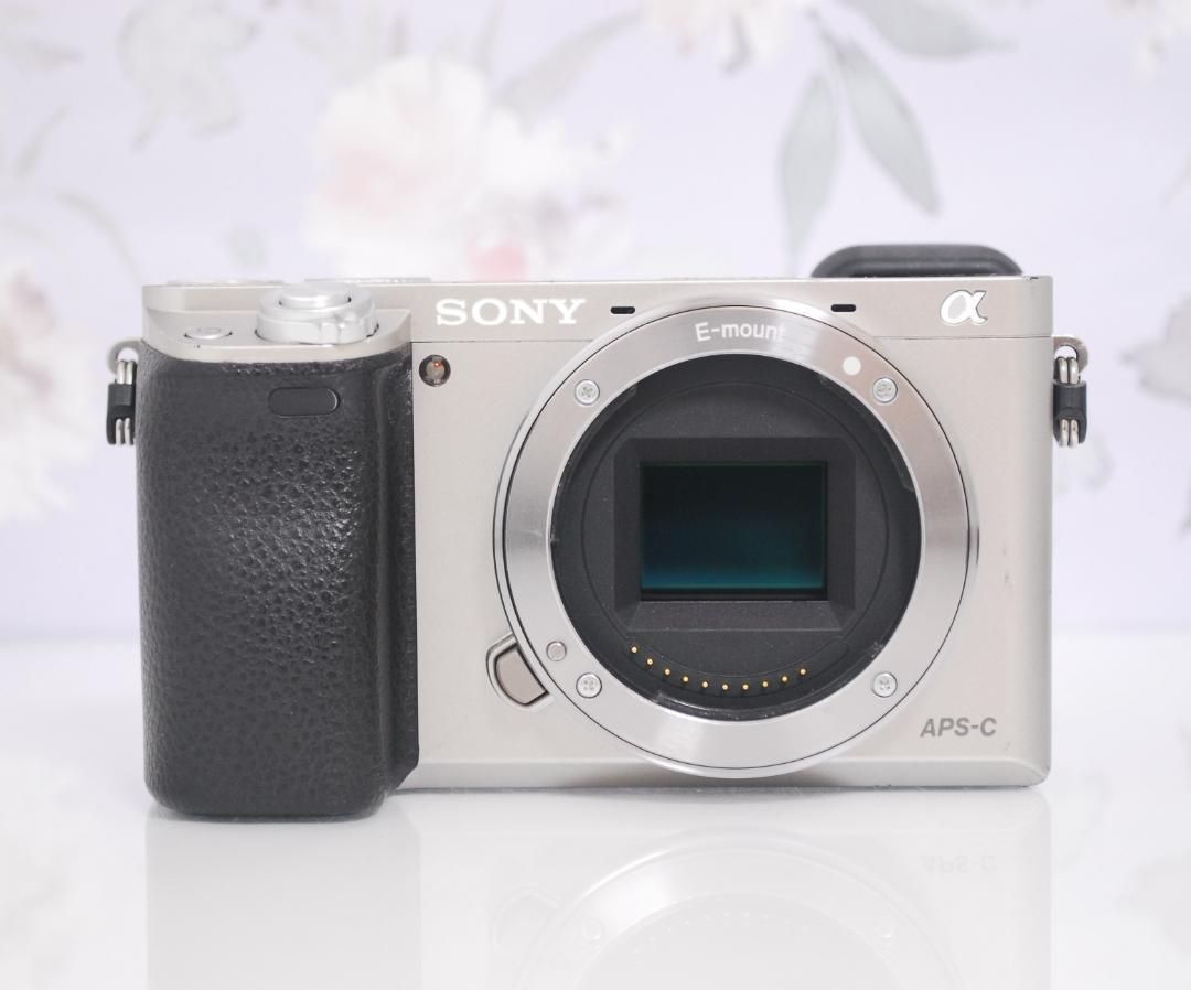 SONY ソニー ミラーレス一眼 α6000 シルバー ILCE-6000☆超高画質