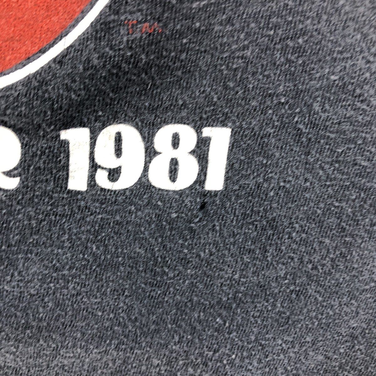 SCREEN STARS - 古着 80年代 スクリーンスターズ SCREEN STARS THE ROLLING STONES ザローリングストーンズ バンドTシャツ バンT レディースS相当 ヴィンテージ /evb029794 ヴィンテージ 80s Screen Stars スクリーンスターズ THE ROLLING