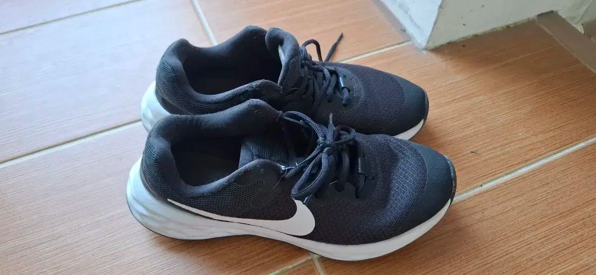 NOVEMBER ARTISTE 150cm モリスポ購入 無双