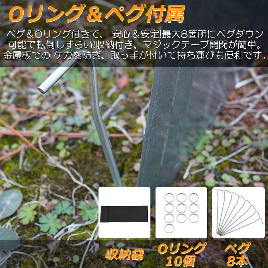 キャンプ