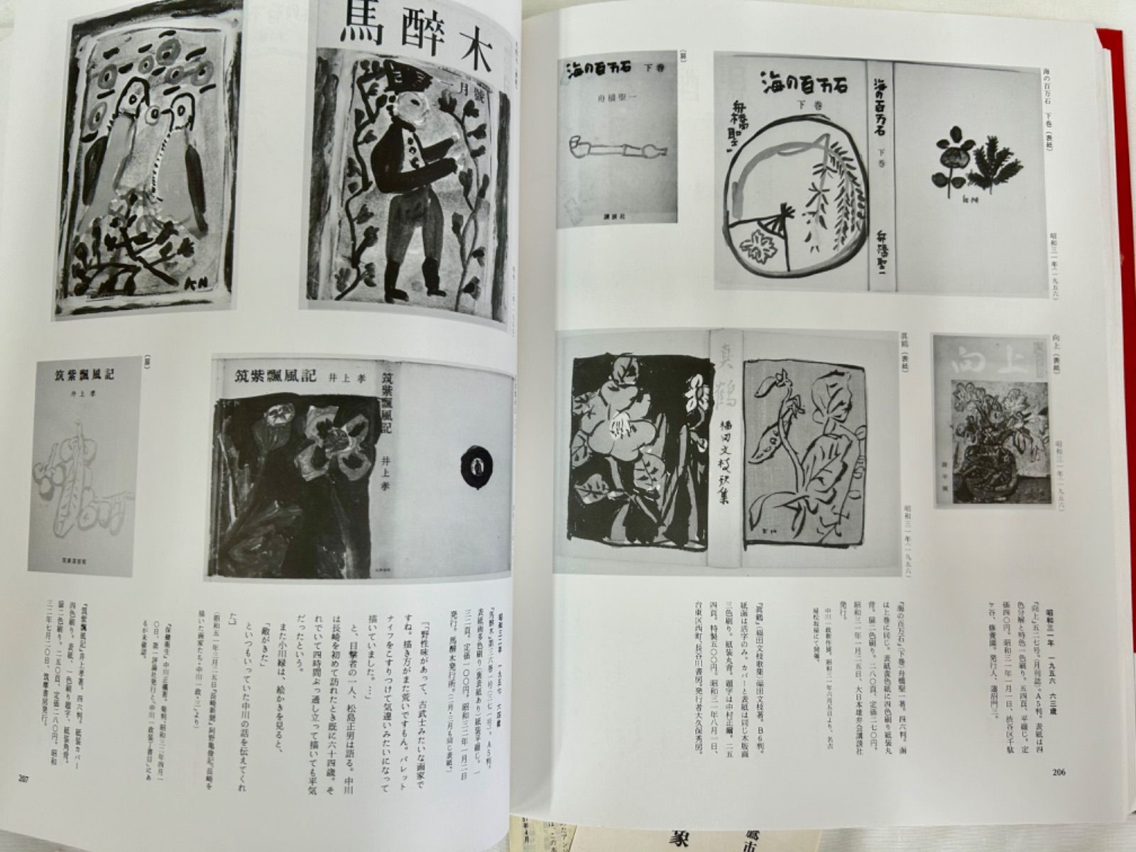 中川一政ブックワーク 1984年 形象社 エディション番号 春陽会