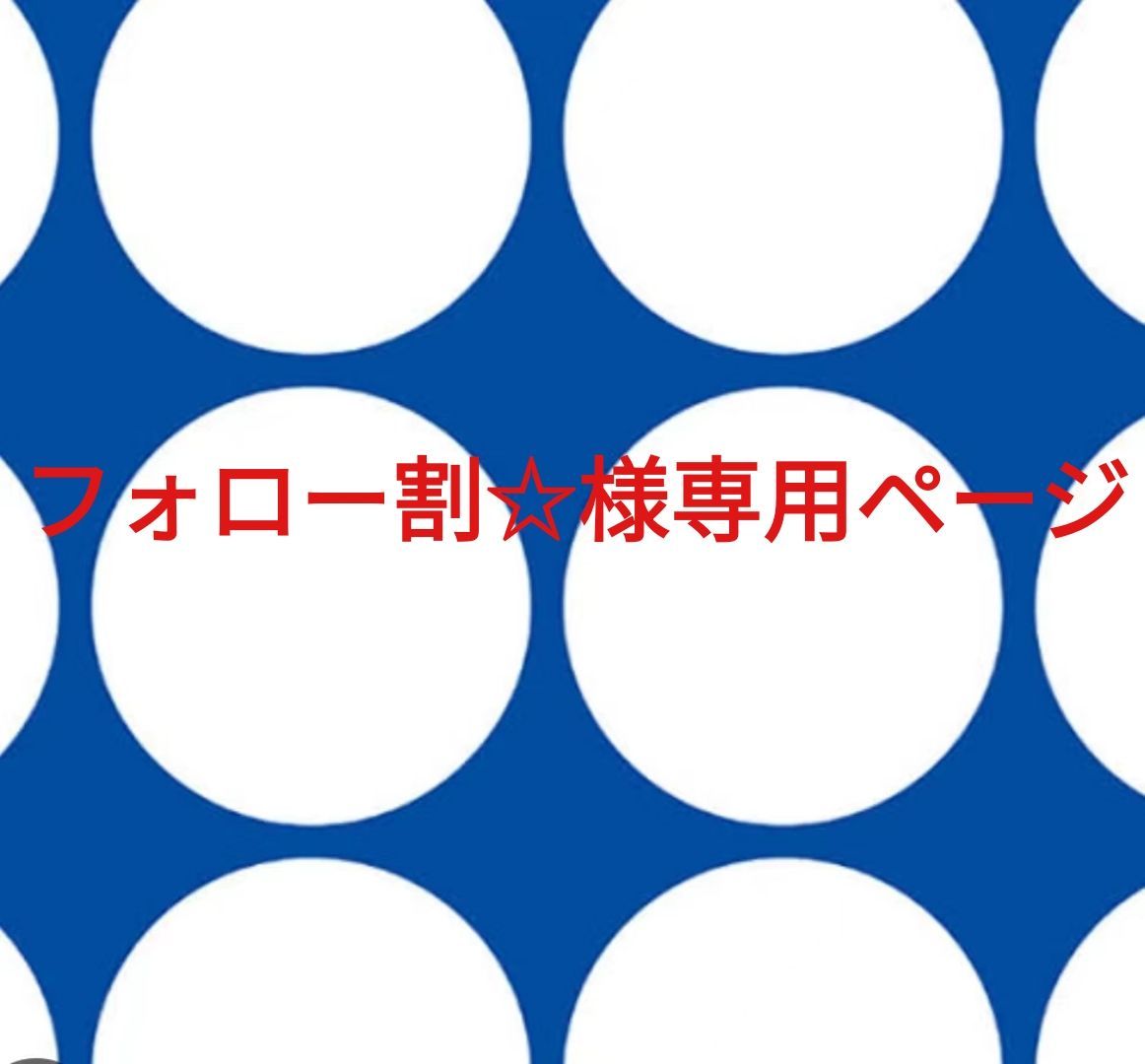 フォロー割☆様専用ページです。 - メルカリ 