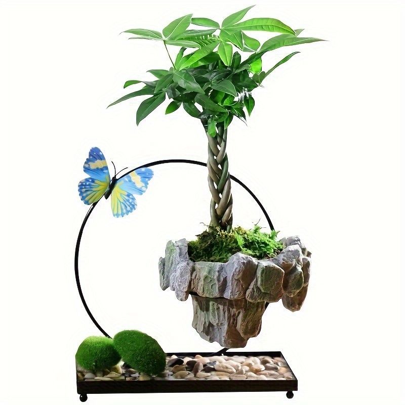 一友　盆栽鉢　植木鉢　盆栽 産地直送 白鳥花 Mサイズ 鉢色 檸檬（受け皿セット）／山形