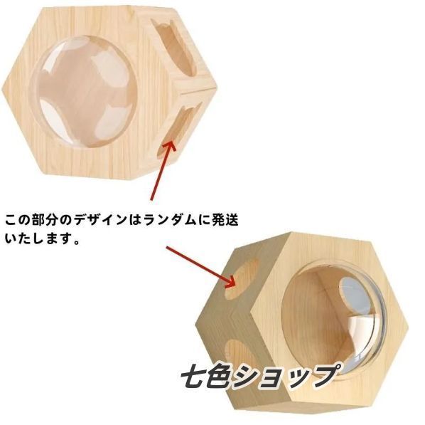 ハンモック＆ハウス付き