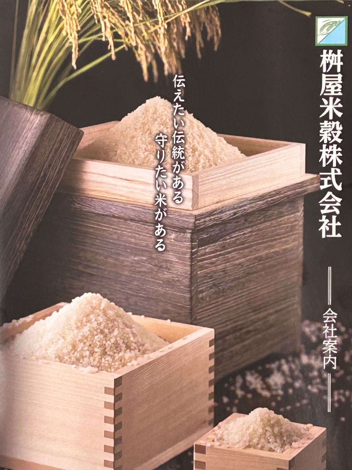 新米　令和6年産　千葉県産ふさこがね 5kg　工場直売　ご注文後に精米します!　美味しいお米　う米 です!!