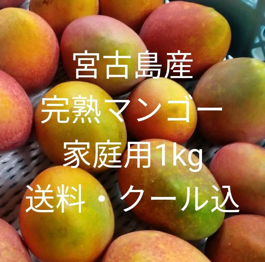 沖縄　宮古島産　完熟マンゴー　家庭用1kg　（訳あり）送料・クール便代込
