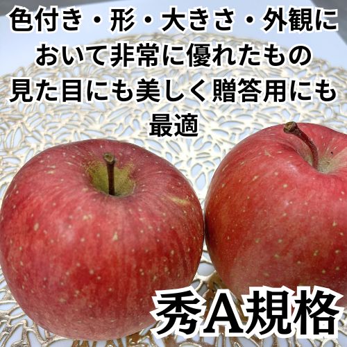 秀A品 10Kg