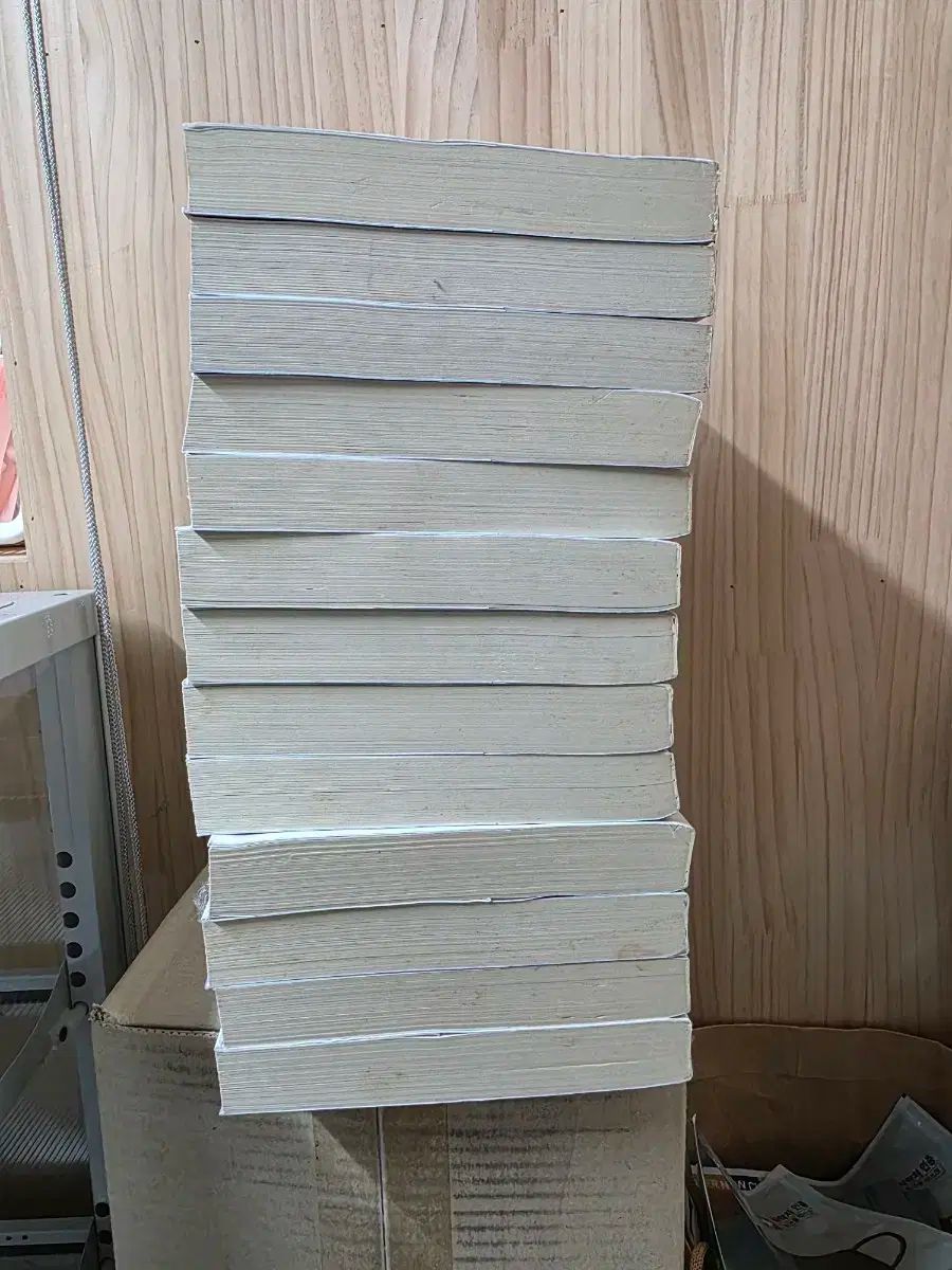 徳川 家康 漫画 小説 2 つのこと