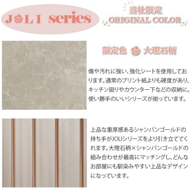 カウンター下収納 ｽﾗｲﾄﾞ式ケージ