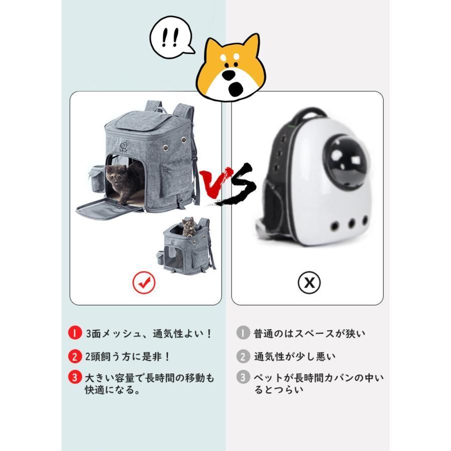 犬
