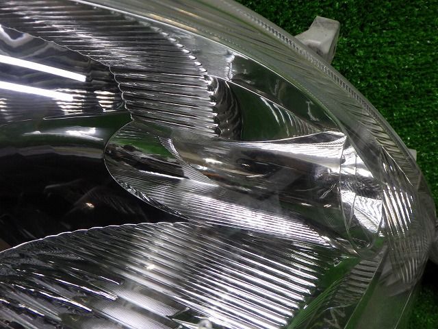L175S L185S