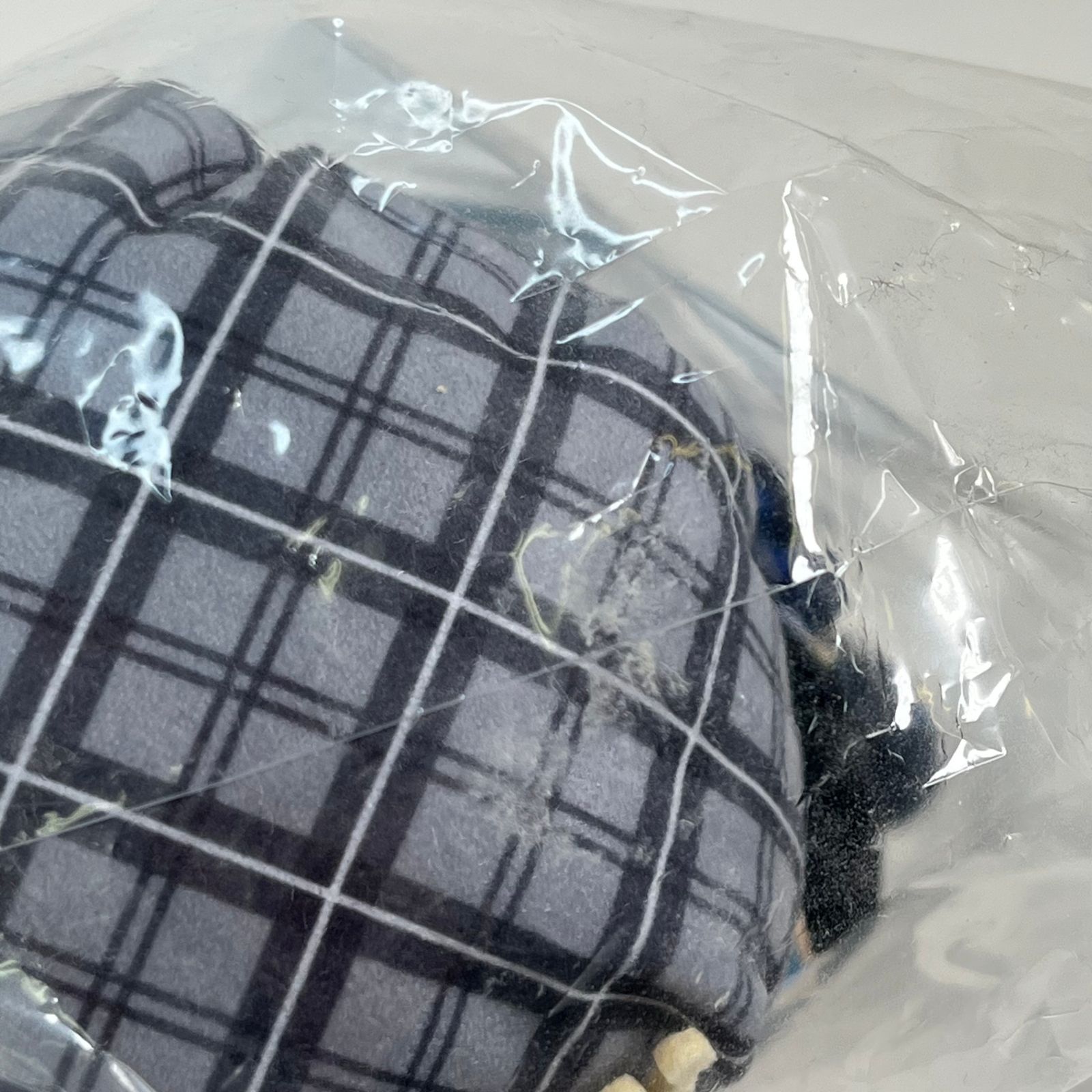 もちどる ホロフレ