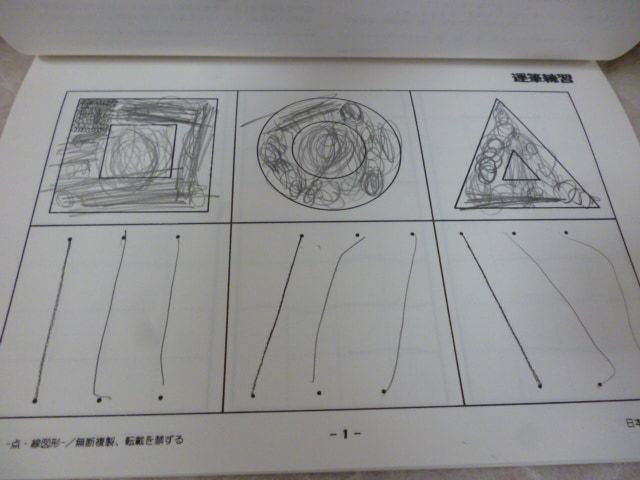 e5861 日本学習図書 分野別 小学入試練習帳 「ジュニア