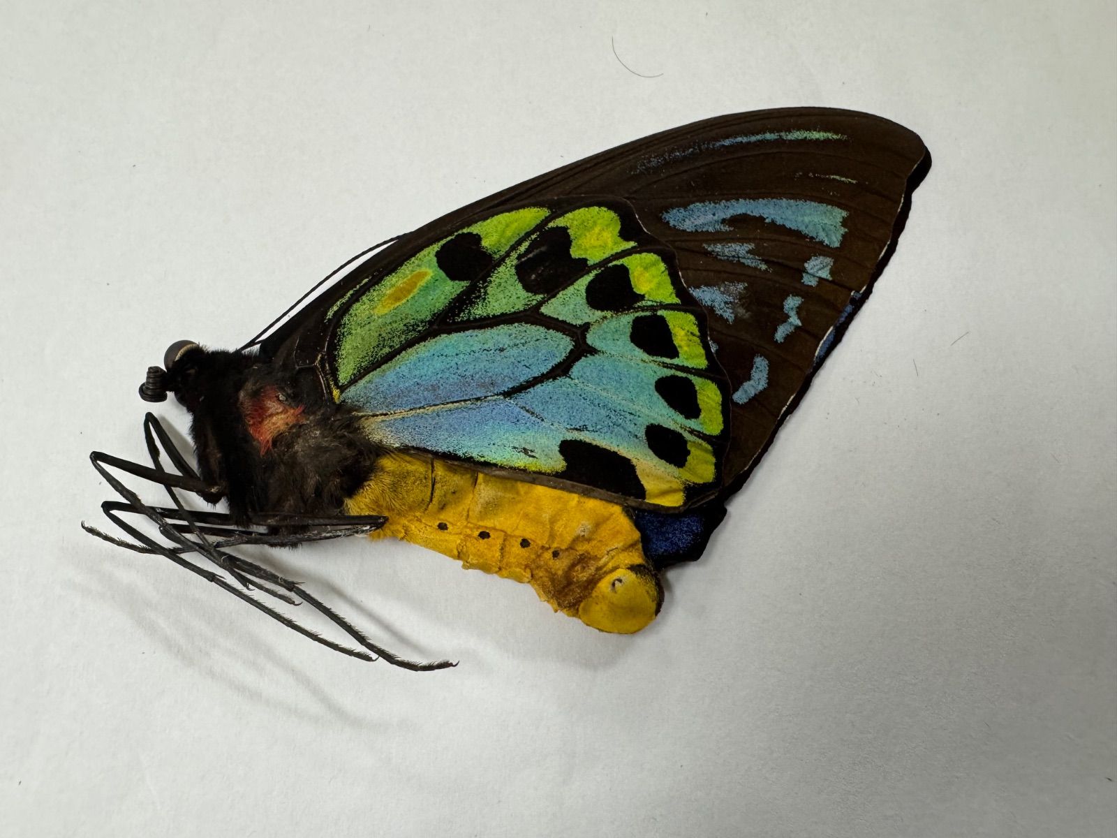 宋湖田窯影青釉瓜稜双耳瓶 景徳鎮 陶磁器 装飾品 現代工芸品美術品 置物