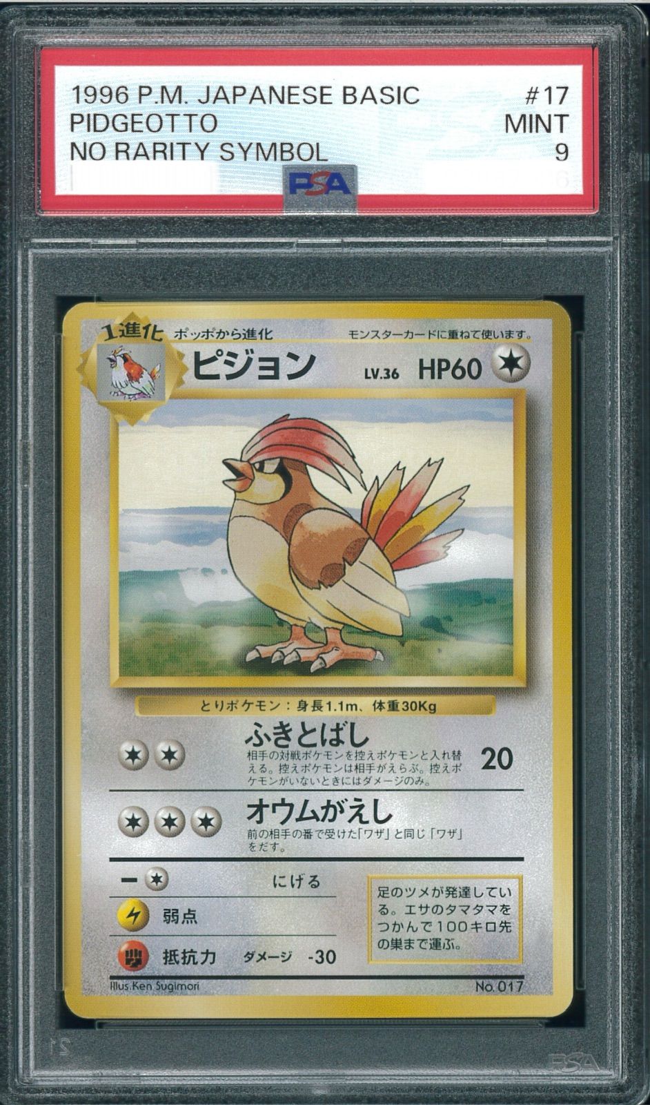 ポケモンカード　ピジョン　初版　マーク無し　旧裏　旧裏面　PSA9　P000121