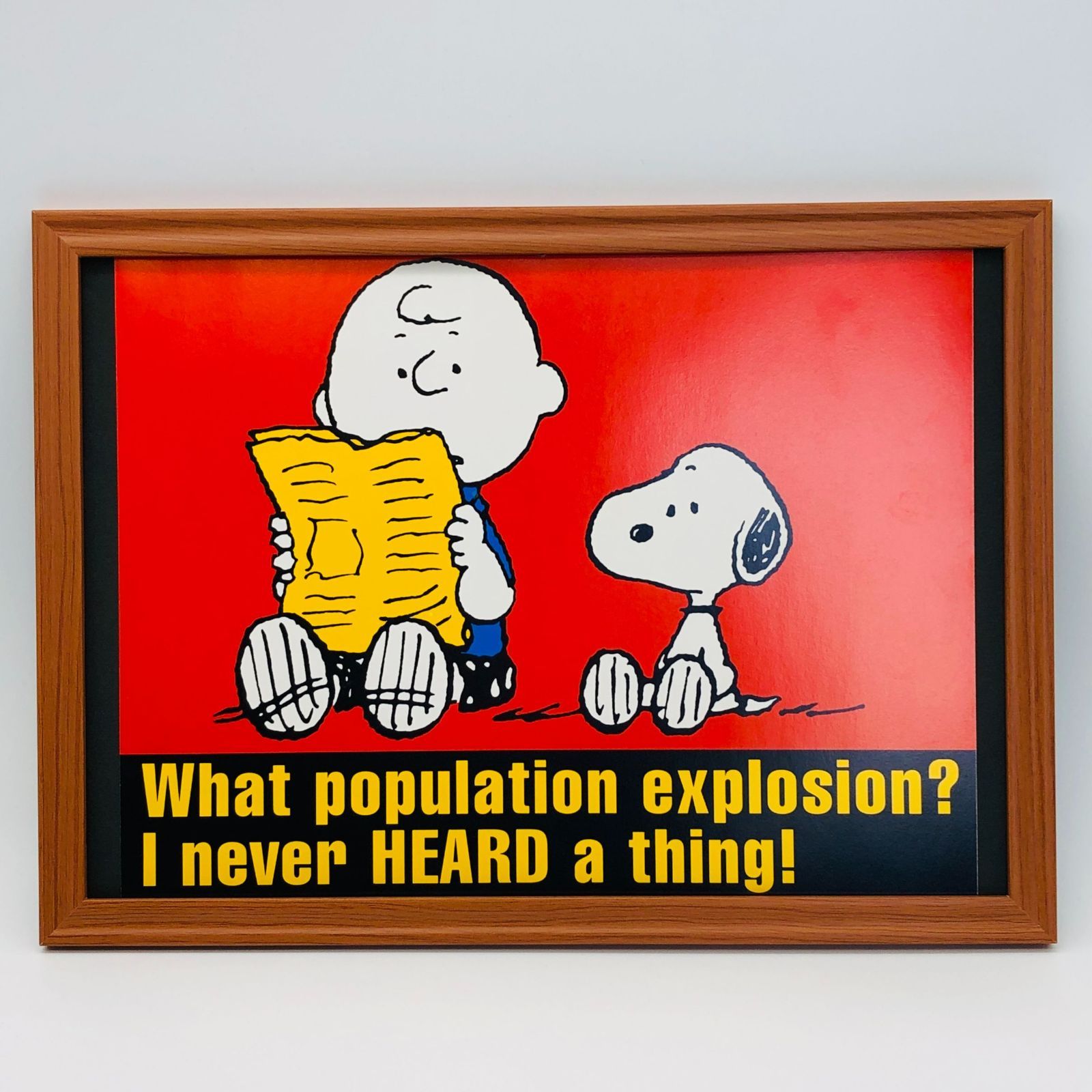 peanuts スヌーピー チャーリーブラウン 万年カレンダー ピーナッツ Peanuts® チャーリー・ブラウンとルーシーの万年カレンダー