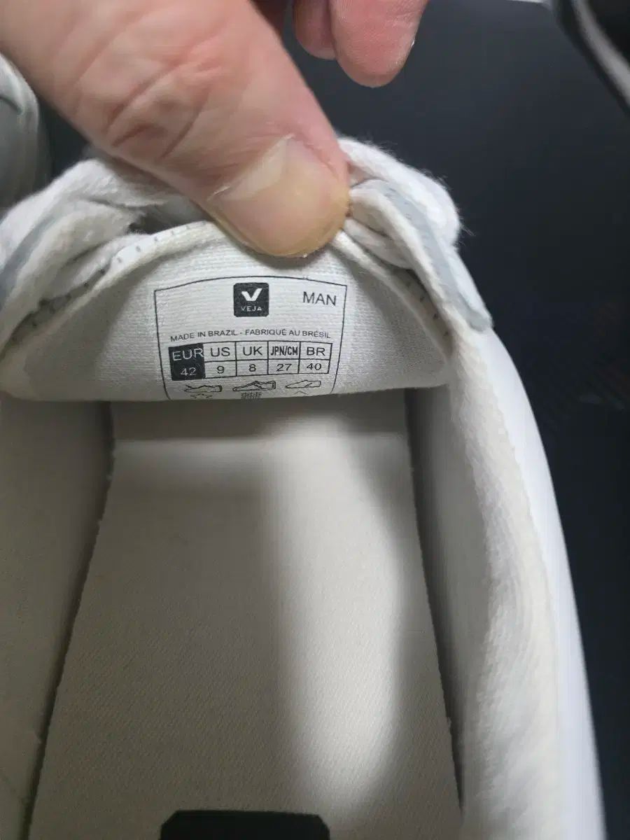 カンポ スニーカーズ