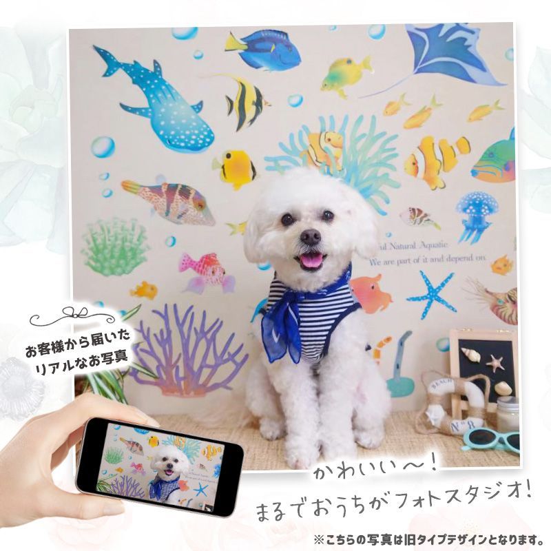 STUDIO image 2 & 3 セット ドアデカール3D 四季の風景ドアステッカー自然の葉家の寝室の壁紙