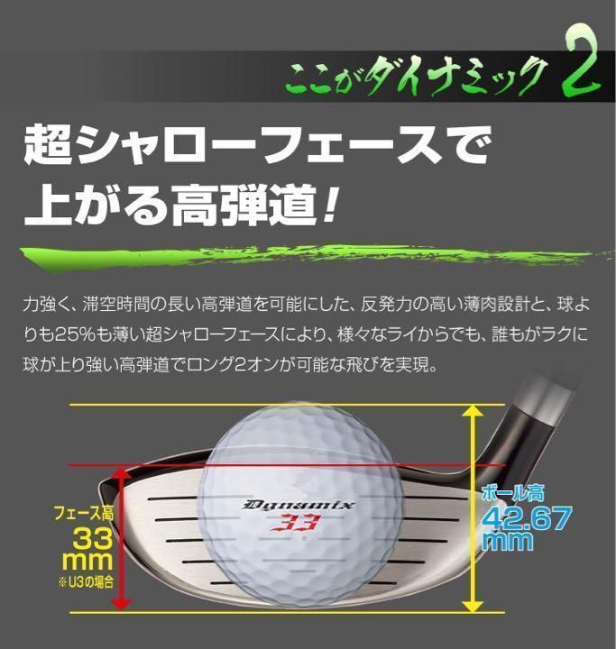 【新品】ヘッドのみ 適合最強反発力の飛び! ダイナミクス 新品】ヘッドのみ 適合最強反発力の飛び! ダイナミクス