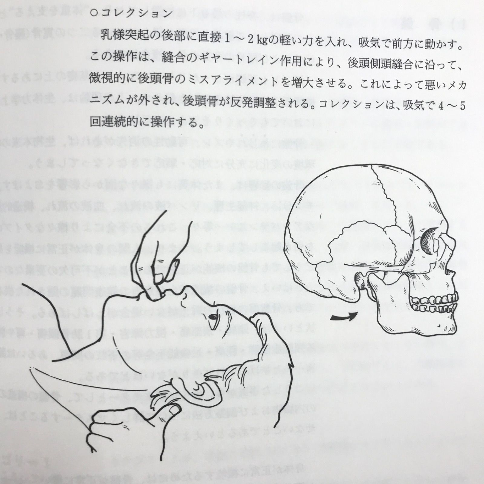 図説AKのテクニック アプライド・キネシオロジーの理論と治療法