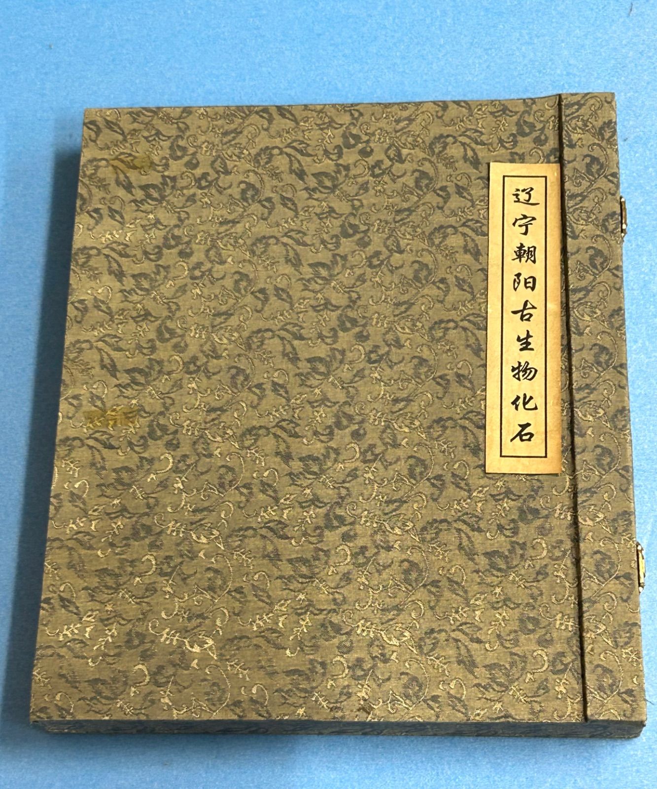 魚の化石 額装品 約30cm 額入り 魚化石 - メルカリ