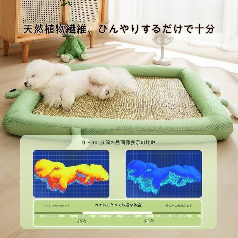 中型犬