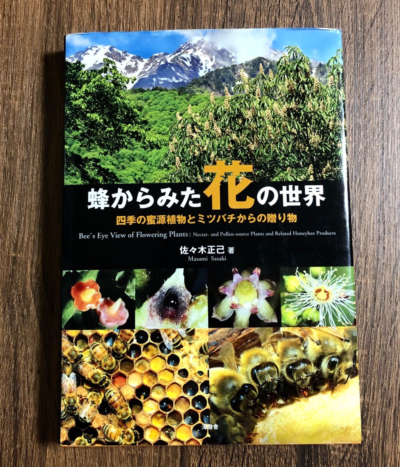 蜂からみた花の世界／佐々木正己著（海遊舎） 蜂からみた花の世界 | 海游舎