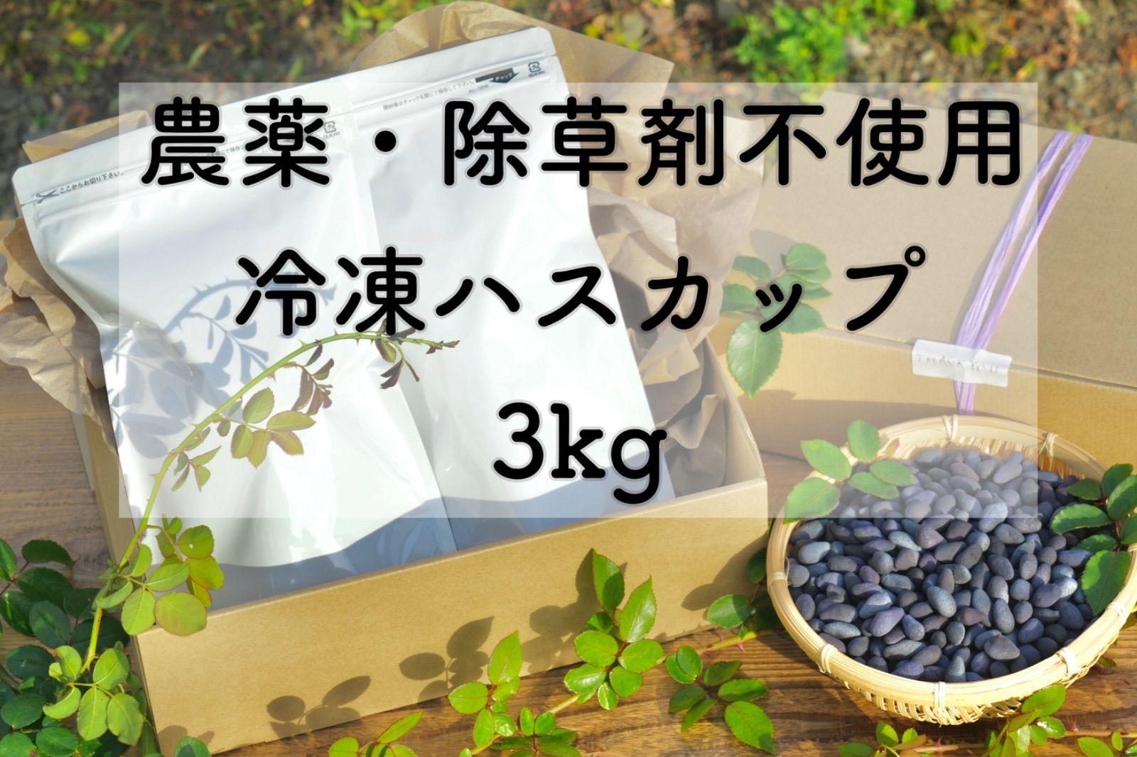 2025年ハスカップ狩りが始まります！！ | 十勝士幌町観光協会 