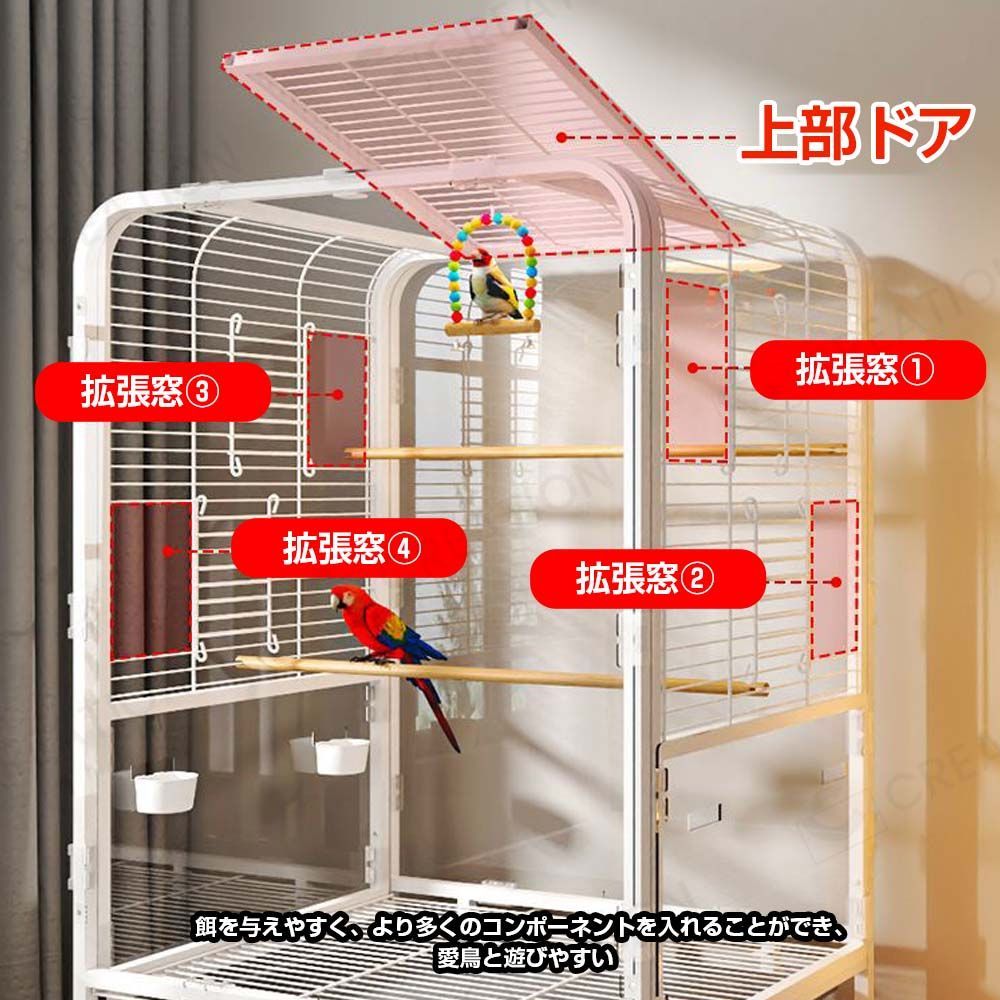 大型インコ