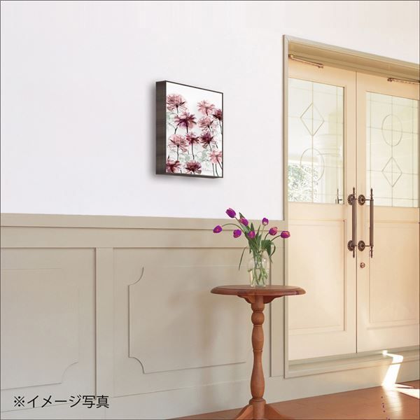 ユーパワー X-RAYキャンバスアート 「フラワーベッド」(Sサイズ)
