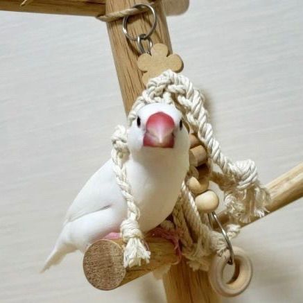 安全で安心《お花のツンツンかみかみ》鳥おもちゃ インコおもちゃ 文鳥