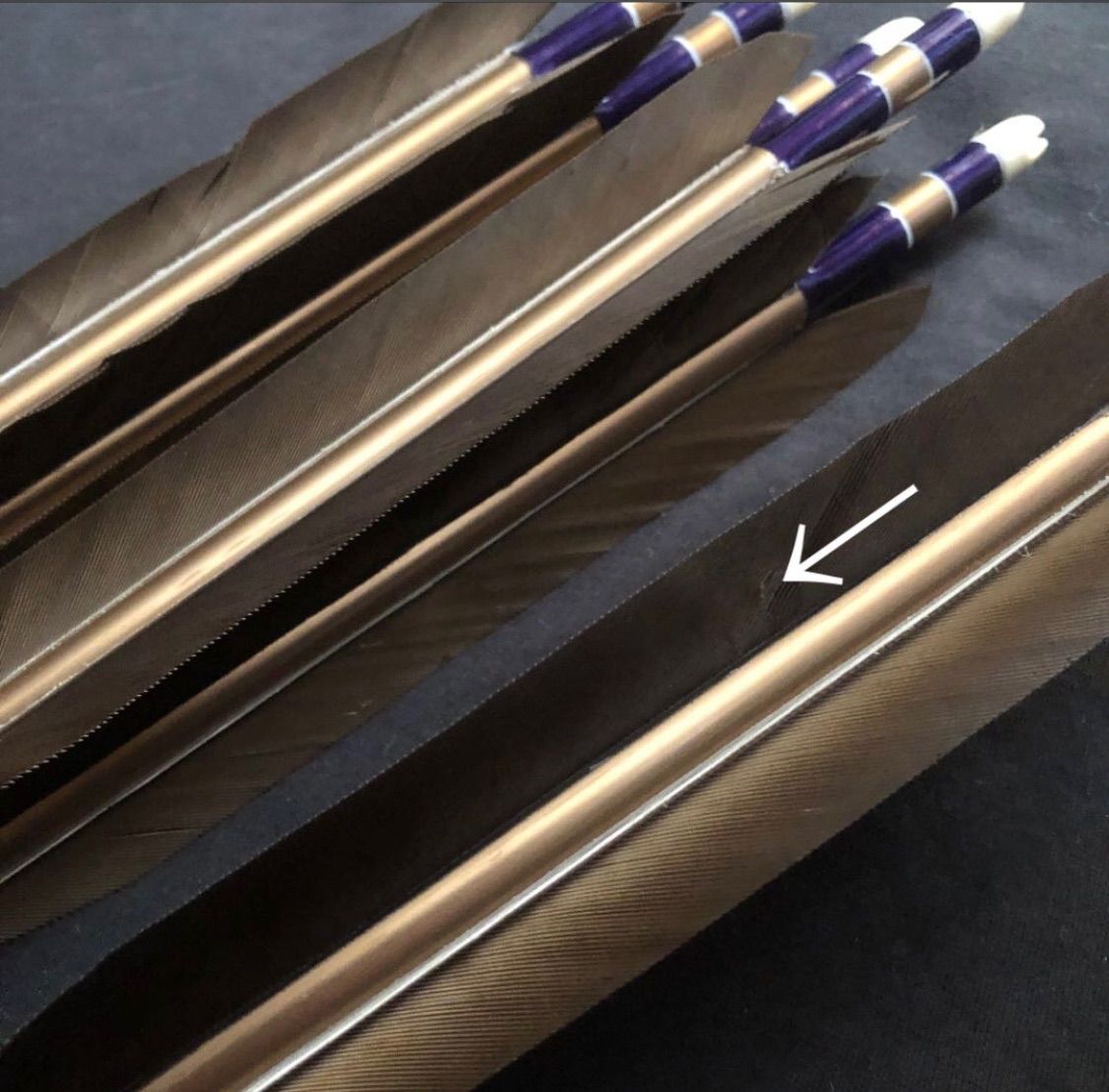 新品】弓道 矢 EASTON2015 黒鷲手羽（黒手羽） - メルカリ