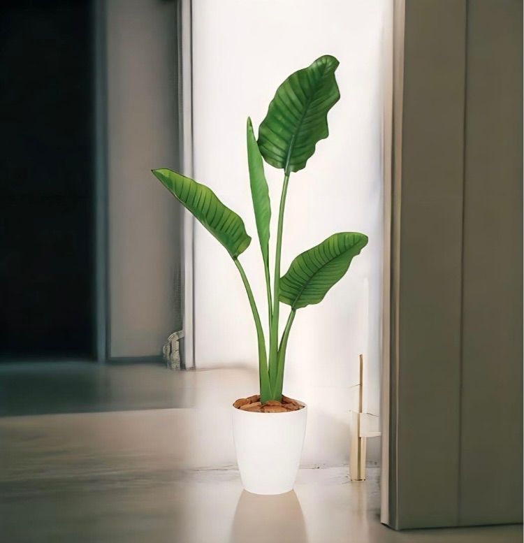 光触媒 人工観葉植物 フェイクグリーン ストレリチア