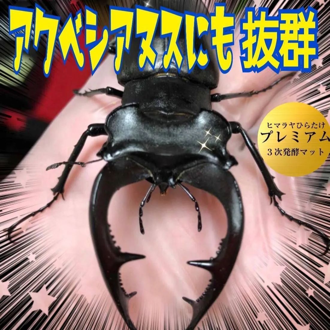 進化した 特選プレミアム3次発酵カブトムシマット【50L】微粒子 特殊