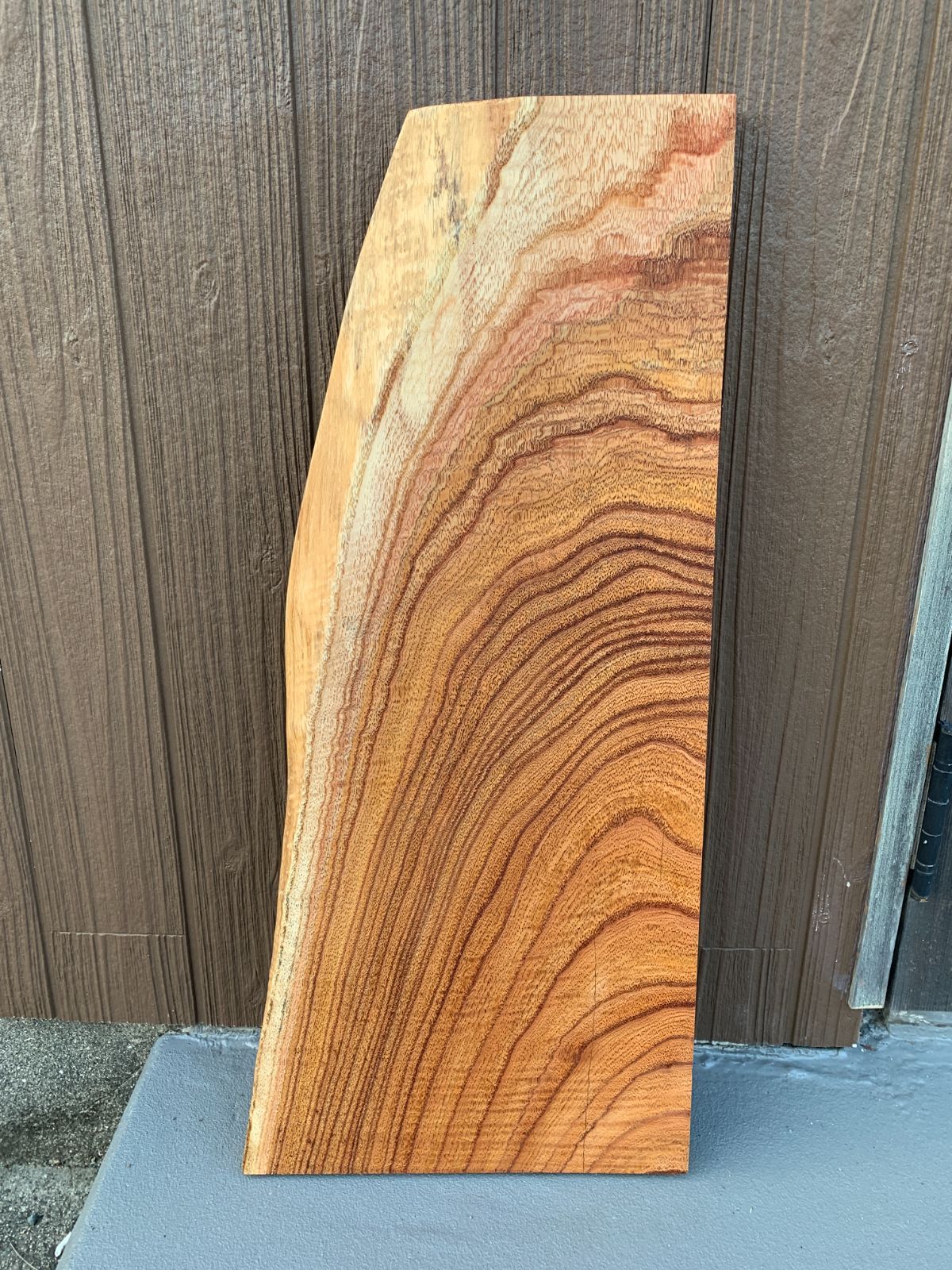 センダン 栴檀 一枚板 66cm 板材 木材 [526]
