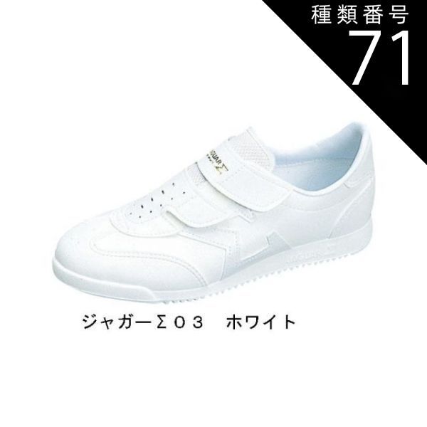 種類71:グレー/24 ジャガーΣ (シグマ) 03 マジックタイプ