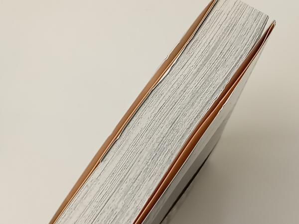 文庫版 家庭教師ヒットマン REBORN！ 全21巻セット (初回出荷版